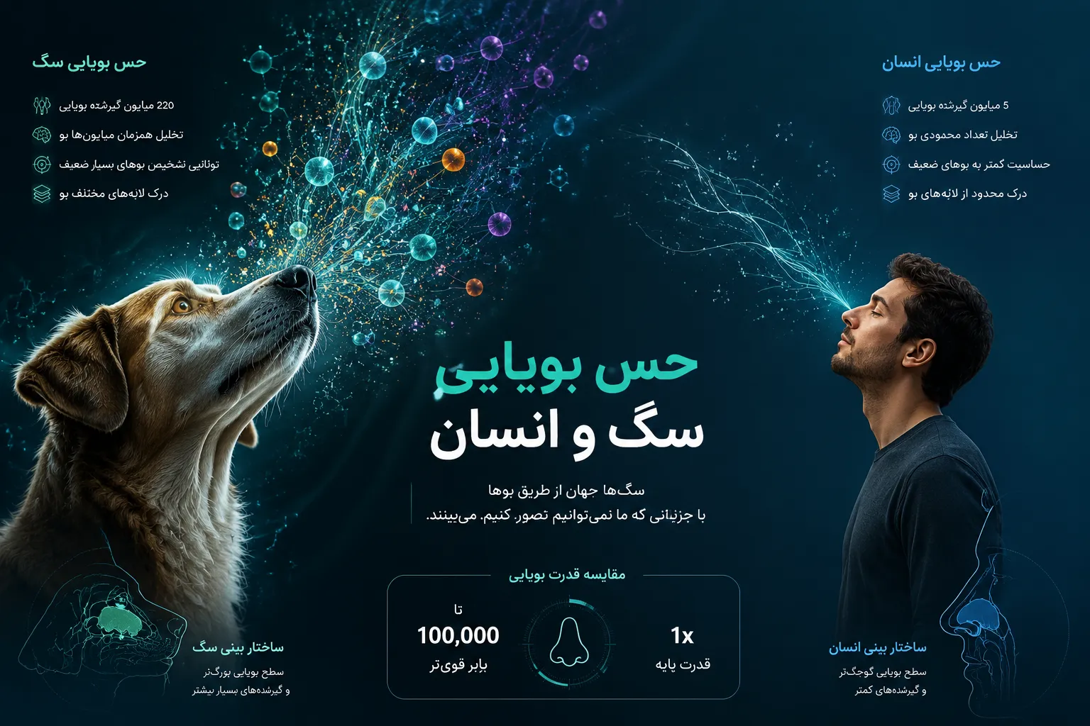 مواد شیمیایی از بین برنده حس بویایی سگ