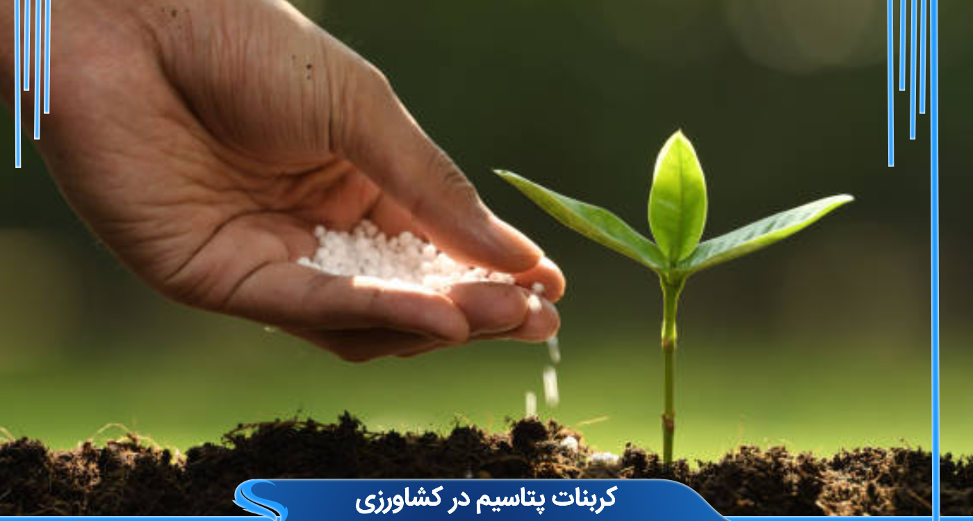 کربنات پتاسیم در کشاورزی