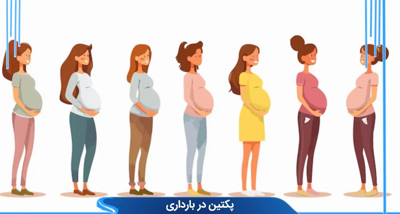 پکتین