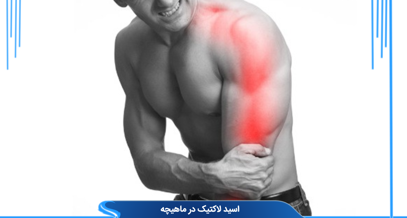 اسید لاکتیک در ماهیچه