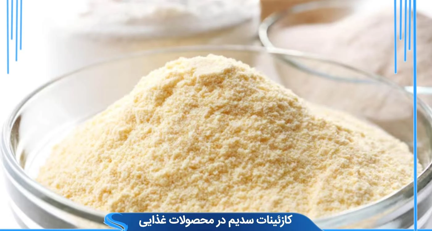 کازئینات سدیم در محصولات غذایی