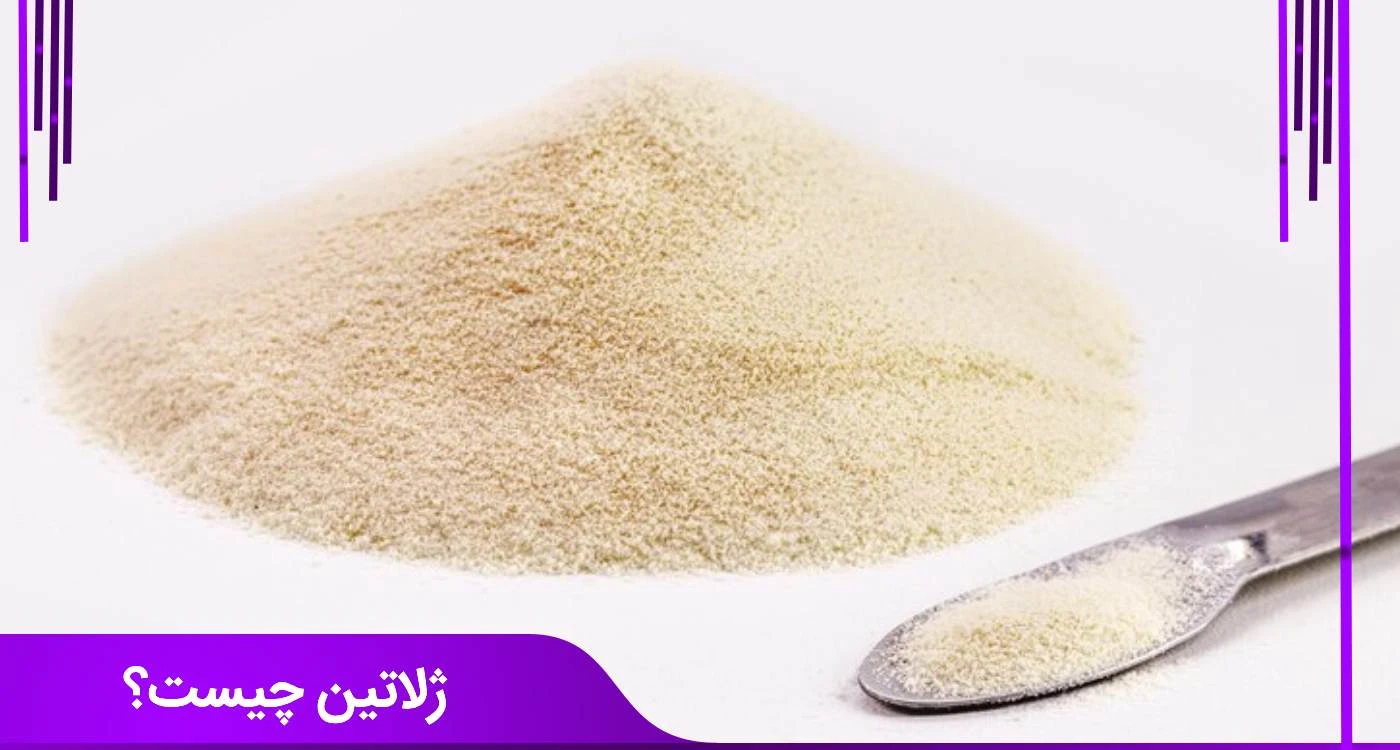 پودر ژلاتین چیست؟ مزایا و معایب، از چاقی صورت تا کاربرد صنعتی ژلاتین چیست؟