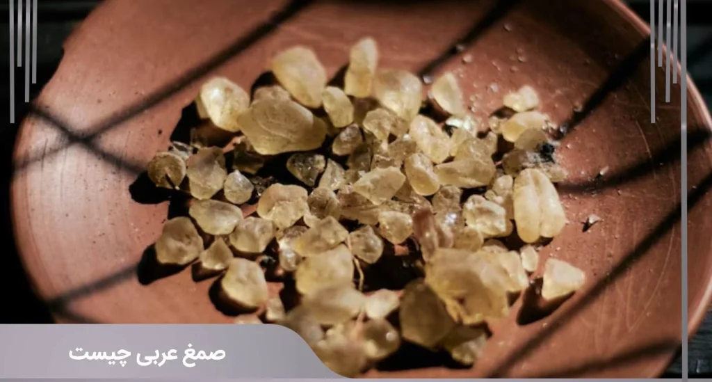 صمغ عربی چیست