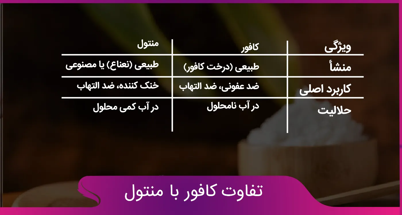 تفاوت کافور با منتول