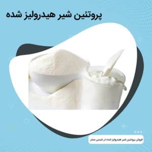 پروتئین شیر هیدرولیز شده