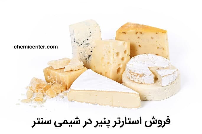 فروش استارتر پنیر