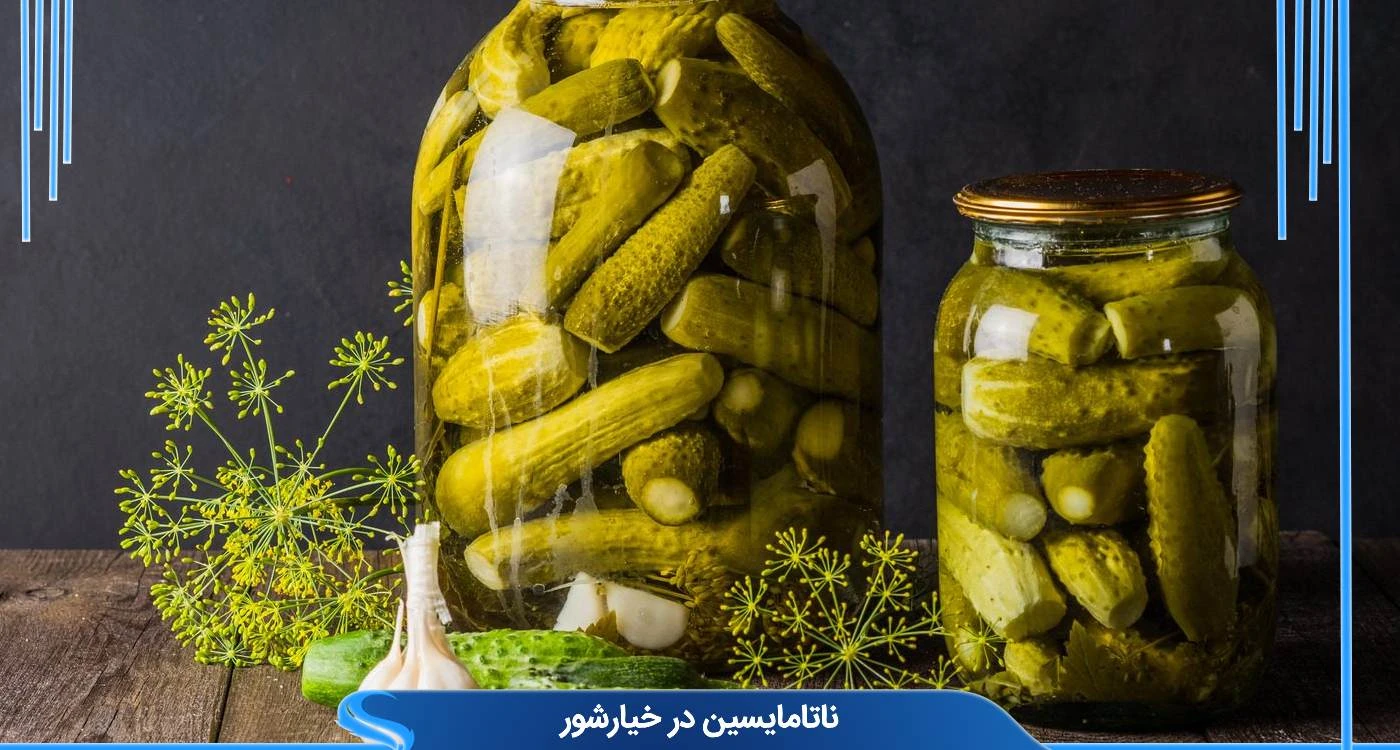  ناتامایسین در خیارشور