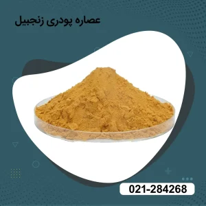 عصاره پودری زنجبیل