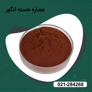 عصاره هسته انگور