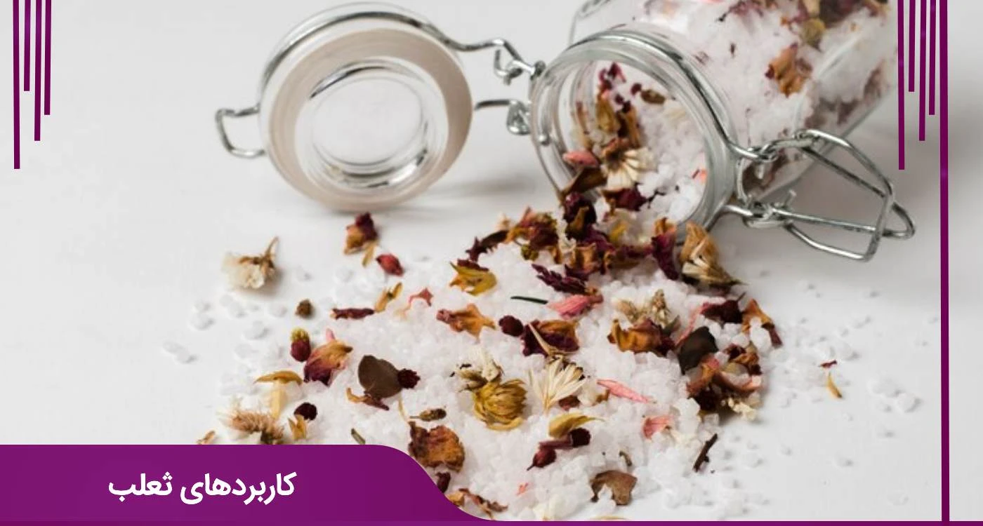 کاربردهای ثعلب