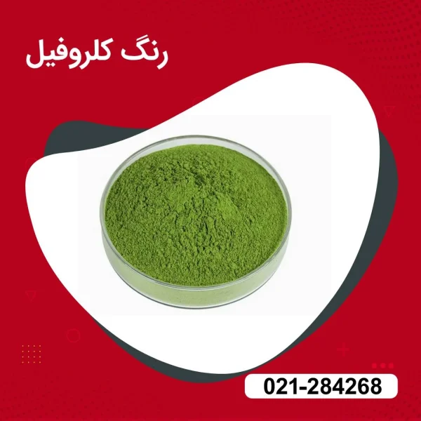 خرید پودر رنگ کلروفیل 100 طبیعی