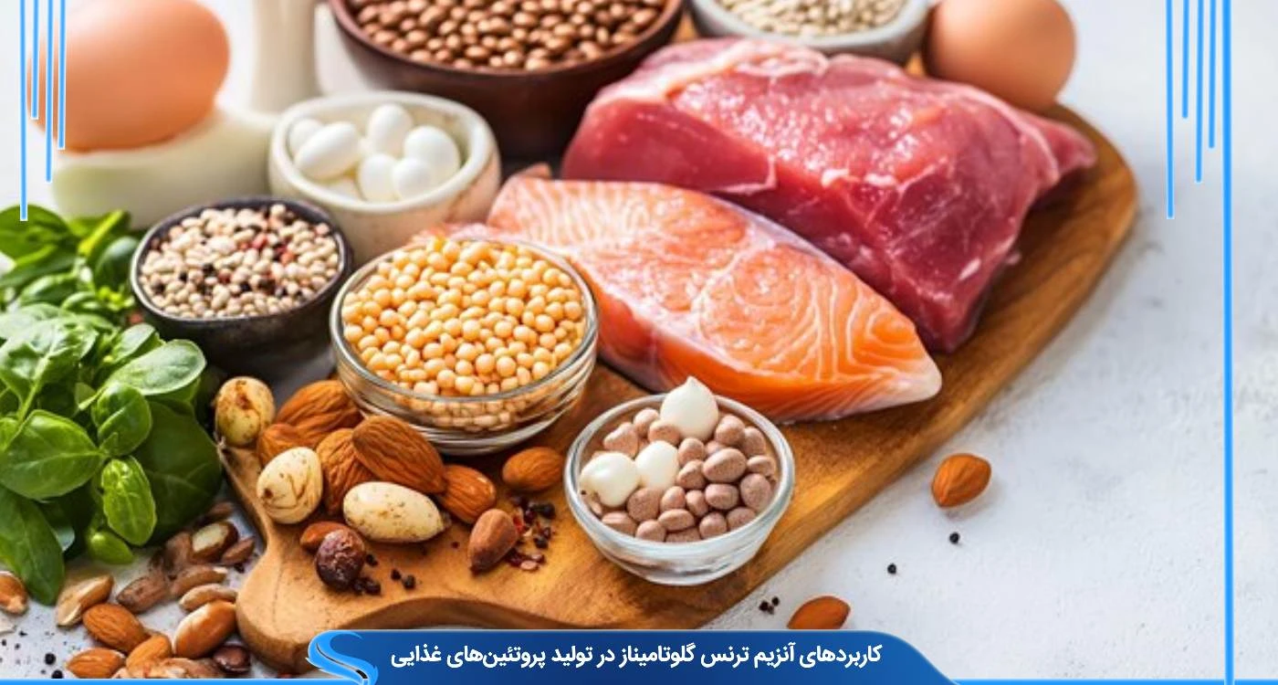 کاربردهای آنزیم ترنس گلوتامیناز در تولید پروتئین‌های غذایی