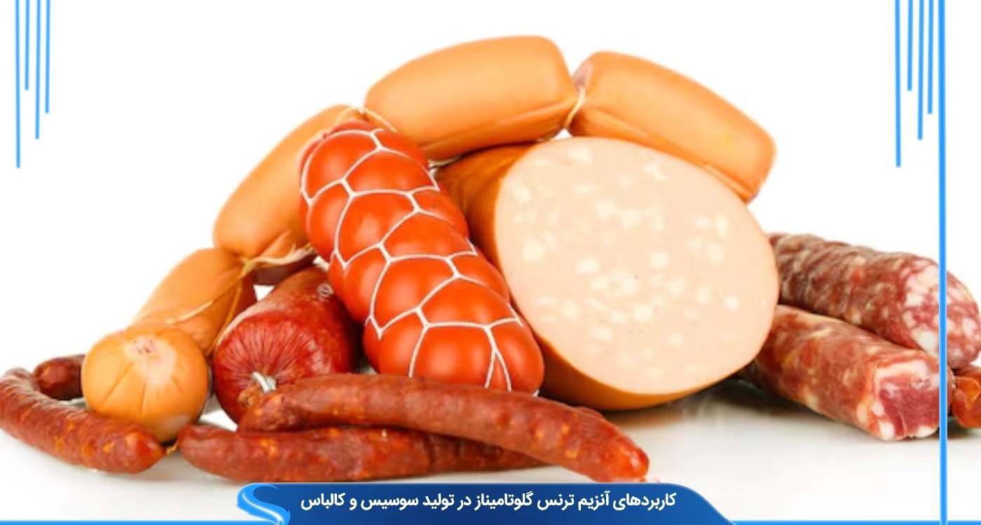 کاربردهای آنزیم ترنس گلوتامیناز در تولید سوسیس و کالباس 