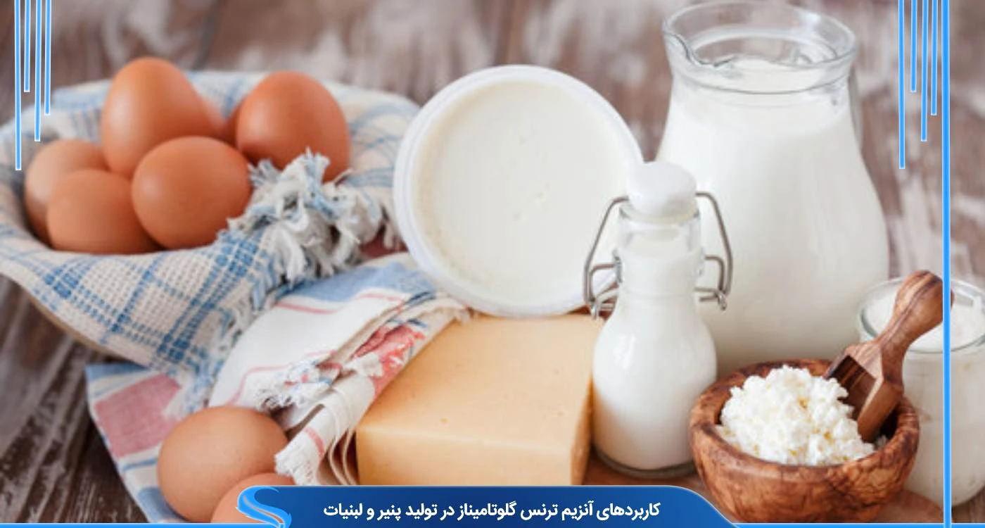 کاربردهای آنزیم ترنس گلوتامیناز در تولید پنیر و لبنیات