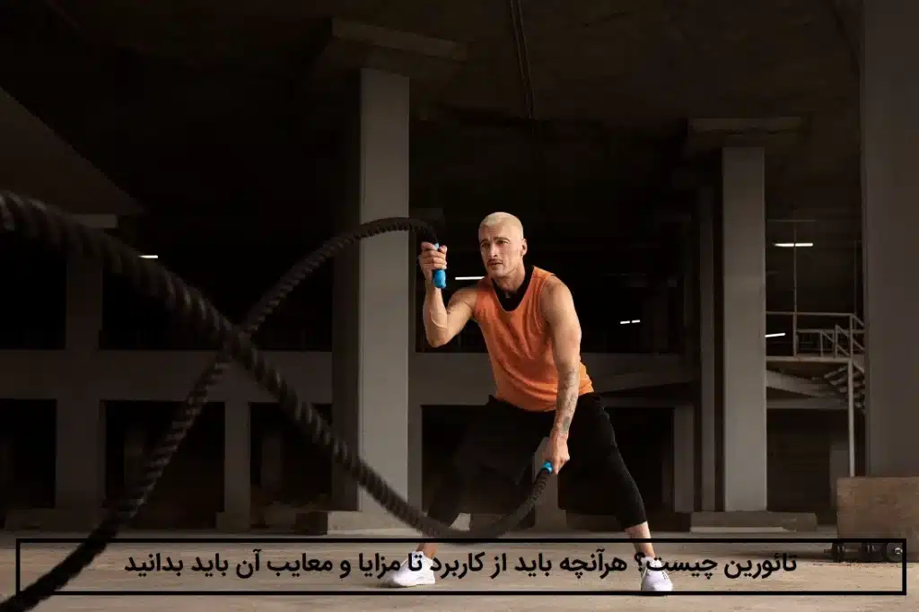 تائورین چیست؟