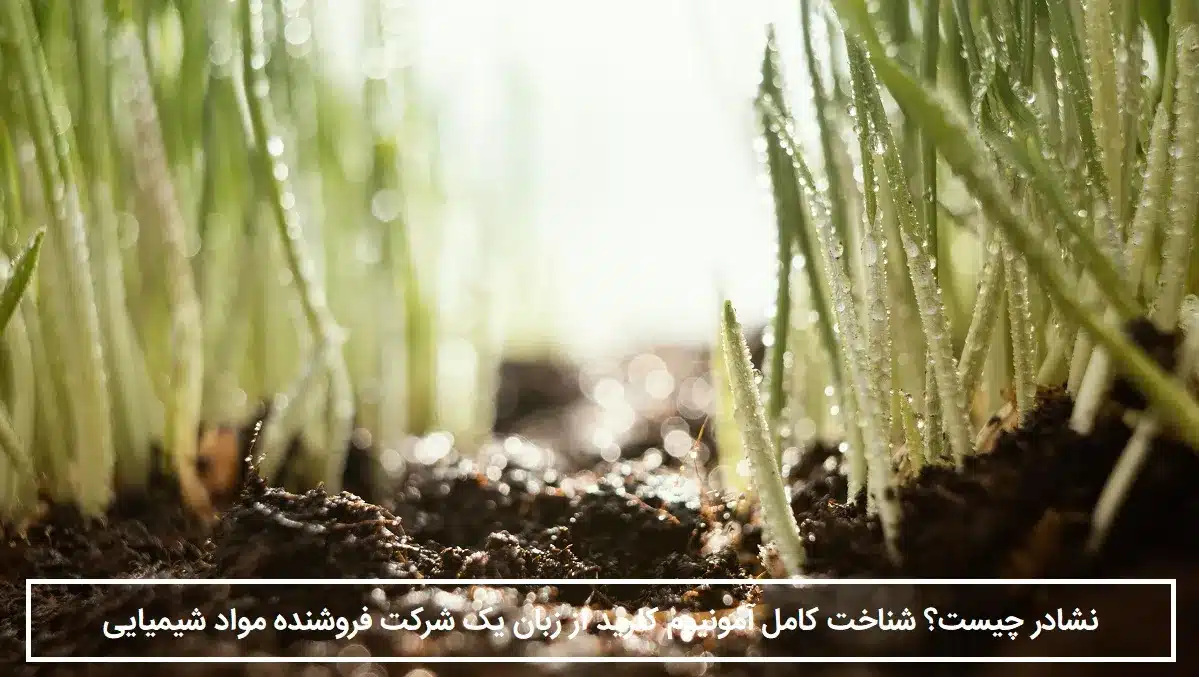 نشادر منبع نیتروژن در تولید کودهای شیمیایی