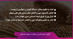 تأثیرات فیبر گندم بر سلامت مصرف کنندگان