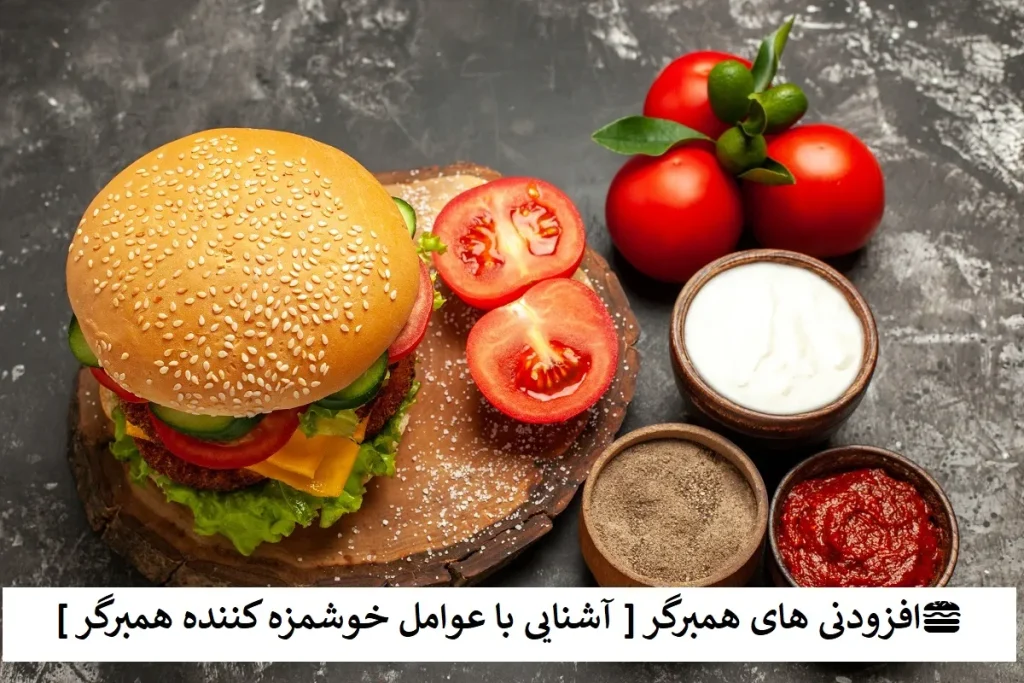 افزودنی های همبرگر