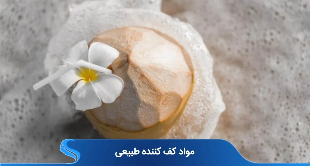 از مواد کف کننده طبیعی تا پودرهای کف‌ساز- چگونه کف زیاد و با کیفیت بسازیم