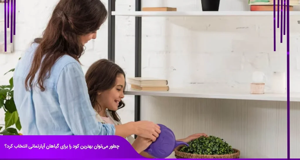 چطور می توان بهترین کود برای گیاهان آپارتمانی را انتخاب کرد؟ : راهنمای جامع