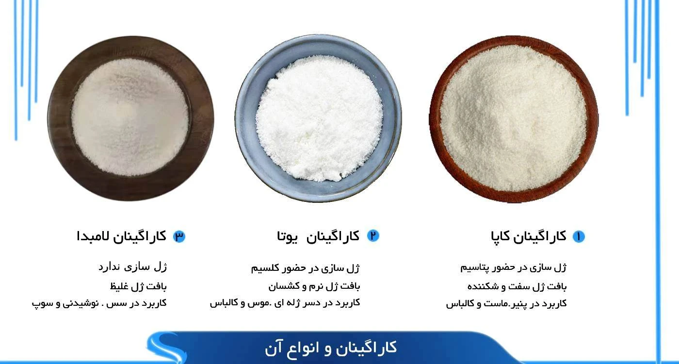 انواع کارگینان و کاربرد ان ها