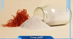 کاراگینان چیست؟ نگاهی جامع به این هیدروکلوئید دریایی