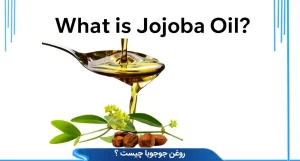 روغن جوجوبا چیست