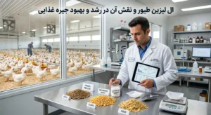 ال لیزین طیور چیست؟ کاربرد، انواع لیزین و میزان مصرف در جیره