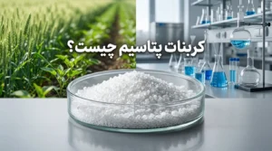 کربنات پتاسیم چیست؟ کاربرد در صنعت، کشاورزی و نکات ایمنی