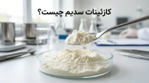 پودر کازئینات سدیم چیست | کاربردها و ویژگی‌های سدیم کازئینات
