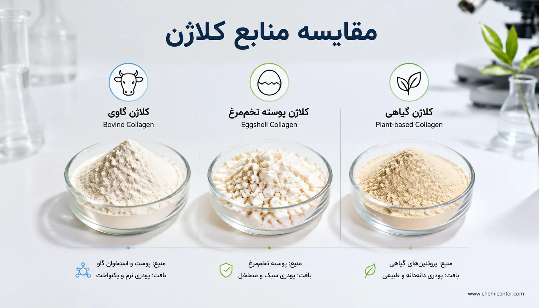 بهترین جایگزین کلاژن ماهی در مکمل‌ها (اقتصادی و موثر)