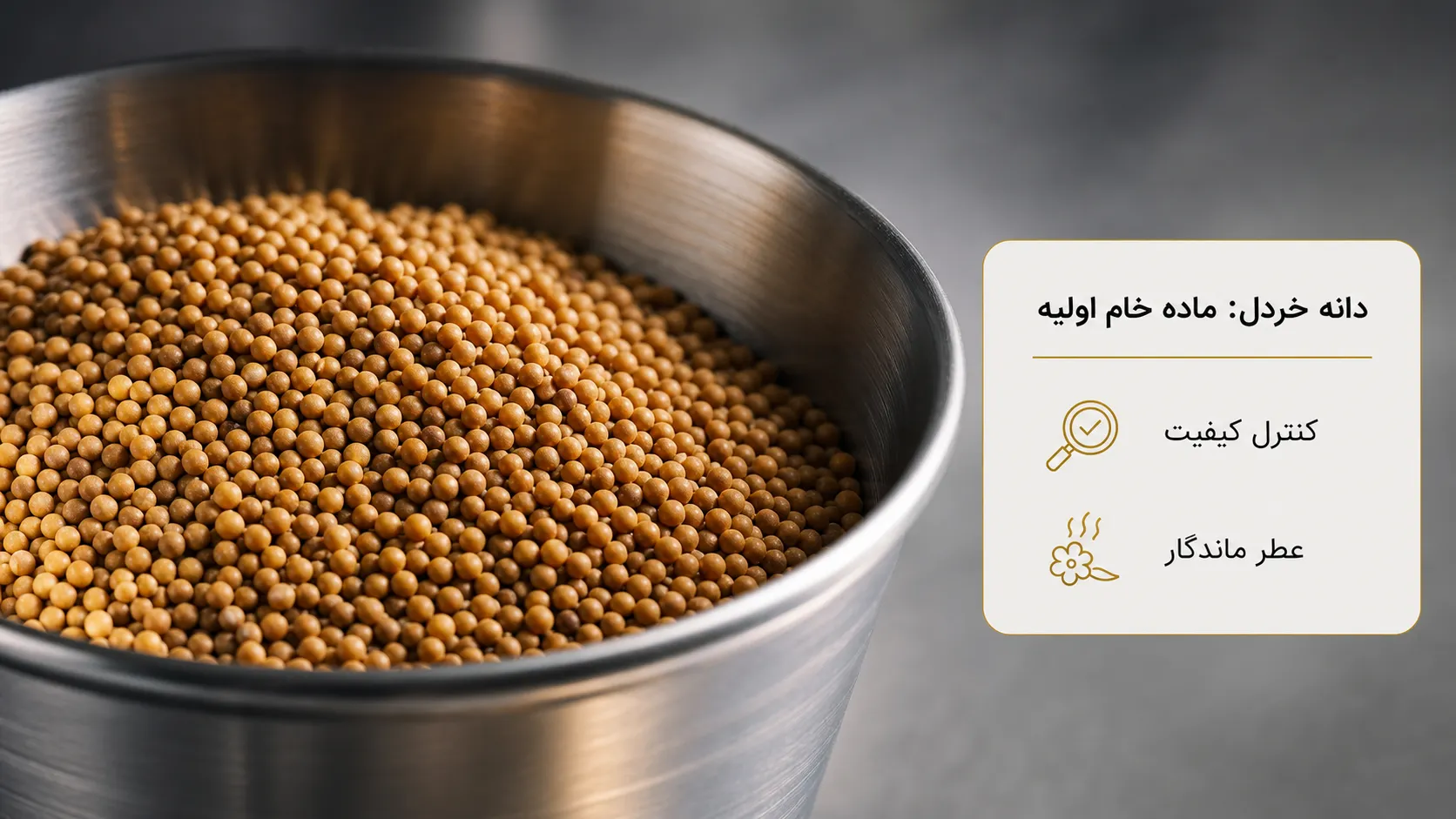 تفاوت پودر خردل، دانه خردل و سس خردل؛ کدام برای تولید صنعتی بهتر است؟