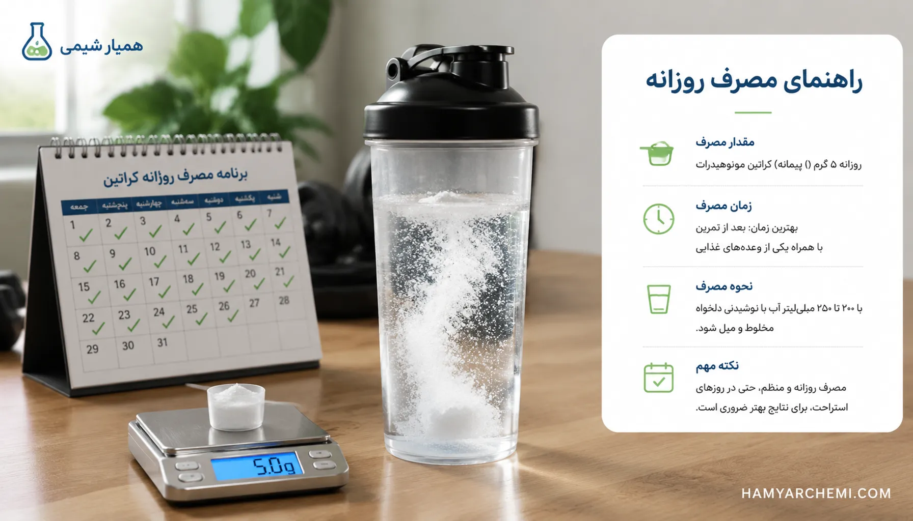 کراتین مونوهیدرات چیست؟ راهنمای جامع خواص،کاربرد و نحوه مصرف ماده اولیه مکمل‌های ورزشی