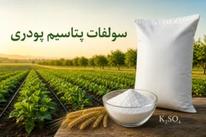 سولفات پتاسیم پودری چیست؟ کاربردها، زمان مصرف و نکات مهم خرید