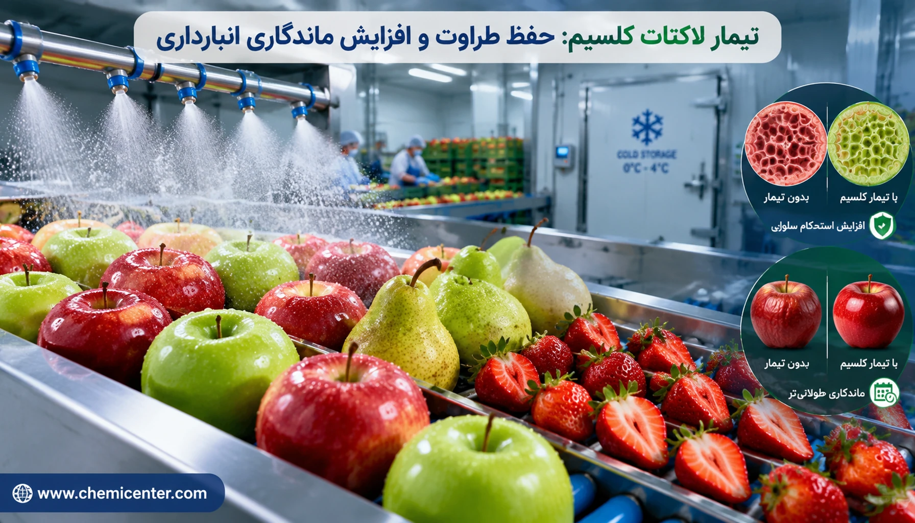 لاکتات کلسیم چیست؟ راهنمای جامع پودر کلسیم لاکتات خوراکی، کاربردها، تیمار میوه و خرید گرید مناسب لاکتات کلسیم چیست؟ راهنمای جامع کاربرد، گریدها و خرید
