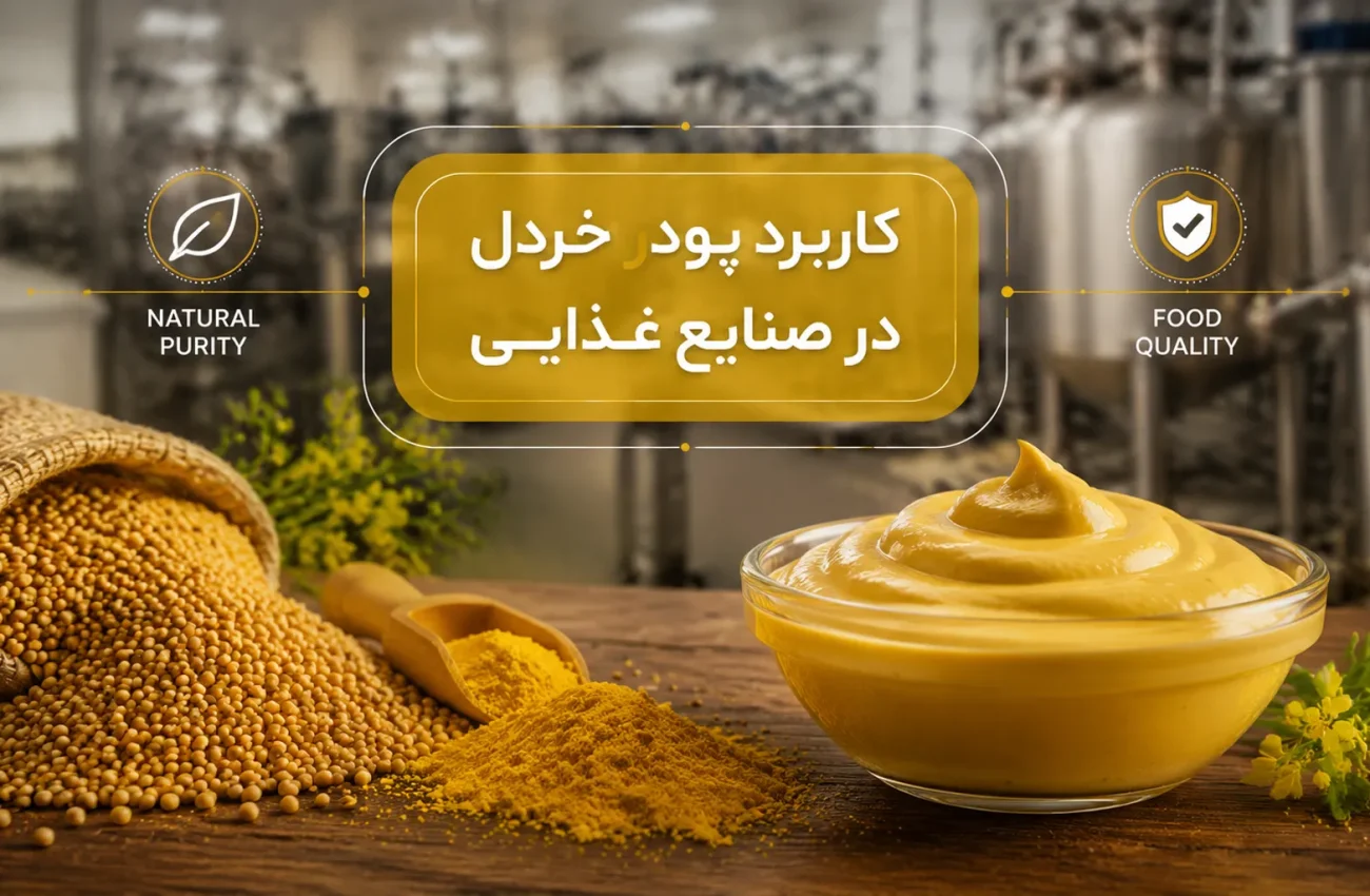 کاربرد پودر خردل در صنایع غذایی؛ از سس تا محصولات پروتئینی